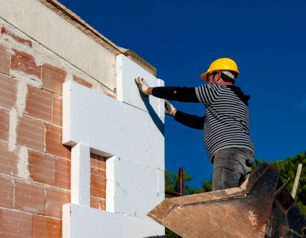 Best Attic Insulation Installation  in Hillsboro, ND