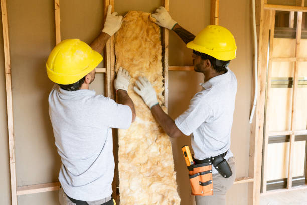 Best Wall Insulation Contractor  in Hillsboro, ND