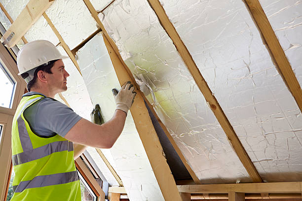 Best Commercial Insulation Contractor  in Hillsboro, ND