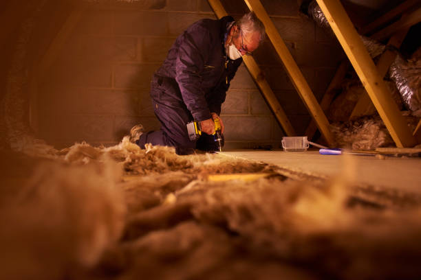 Best Soundproof Insulation Installation  in Hillsboro, ND